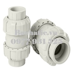 PPH True Union Check Valve